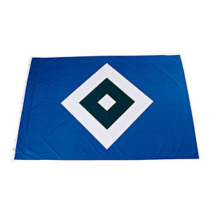 Hissfahne Logo 150x200cm