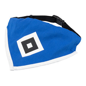 Hundehalstuch + Band "HSV"