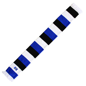 Schal "Vereinsfarben"