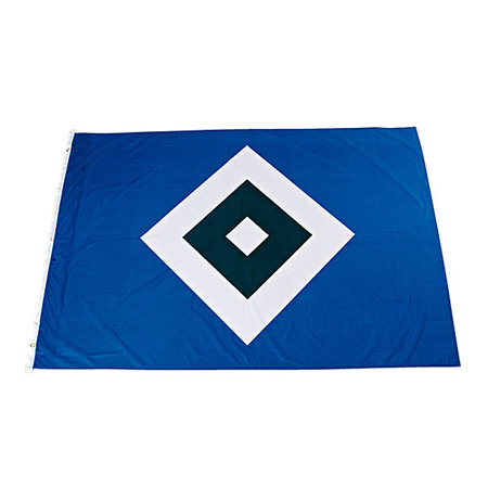 Hissfahne Logo 150x200cm