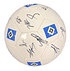 Autogrammball 25/26 (1)