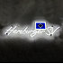 HSV LED Neonlicht "Hamburger SV" (1)