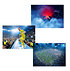 HSV Poster 3er-Set Aufstieg 24/25 "Stadion" (1)