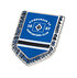 HSV SC Pin "Wimpel" (1)