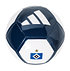 HSV adidas Fußball EPP (1)