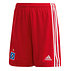 HSV adidas Heimhose 22/23 (1)