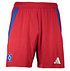 HSV adidas Heimhose Kids 24/25 (1)