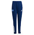 HSV adidas Trainingshose Kids 25/26 (1)