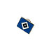 Pin "Raute" (1)