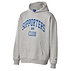 SC Kapuzenpullover "College grau" (1)