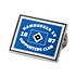 SC Pin "Logo" (1)