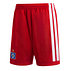 adidas Heimhose 26/27 (1)