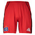 adidas Heimhose Kids 25/26 (1)