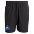 adidas Präsentationsshorts 26/27 (1)