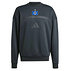 adidas Präsentationssweater 26/27 (1)
