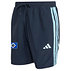 adidas Shorts „Hommage Pokalsieg 1976“ (1)