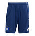 adidas Trainingsshorts 25/26 (1)