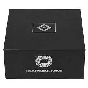 Acrylblock "Volksparkstadion"