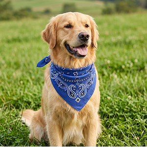 Bandana "Jolin"