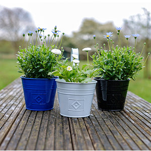 Blumentopf 3er-Set "B-W-S"
