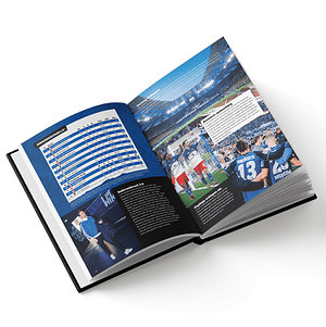 Buch "Der HSV spielt wieder Bundesliga"