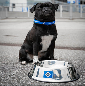 Fressnapf Edelstahl "HSV"