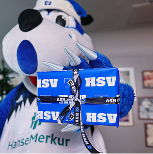 Geschenkband 3er-Set "Hamburger SV"