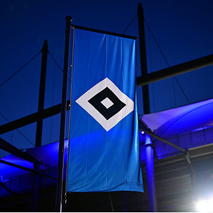 Hissfahne "Arena" 150x400cm