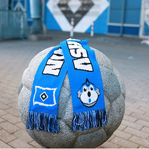 Schal Kids "Nur der HSV"