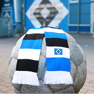 Schal Kids "Vereinsfarben"