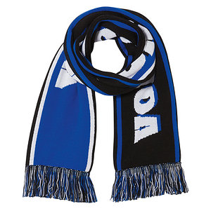 Schal "Volkspark von morgen"