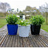 Blumentopf 3er-Set "B-W-S" (2)