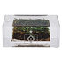 HSV Acrylblock Rasen "Aufstieg 24/25" (2)