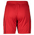 HSV adidas Heimhose 25/26 (2)