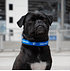 Hundehalsband 30-40cm (2)