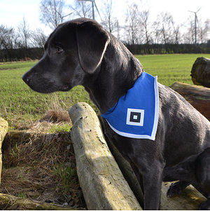Hundehalstuch + Band "HSV"