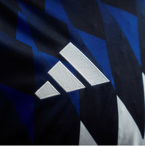 adidas Heimtrikot 25/26