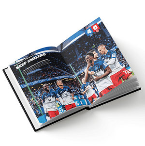 Buch "Der HSV spielt wieder Bundesliga"
