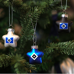 Christbaumkugeln 10er "Stern"