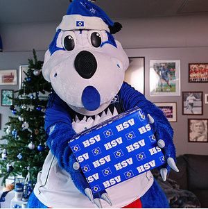 Geschenkpapier "Raute"