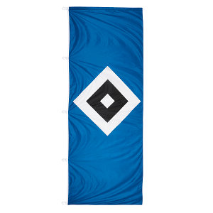 Hissfahne "Arena" 150x400cm