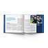 HSV Buch "Die Aufstiegsgeschichte des HSV" (3)