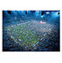 HSV Poster 3er-Set Aufstieg 24/25 "Stadion" (3)